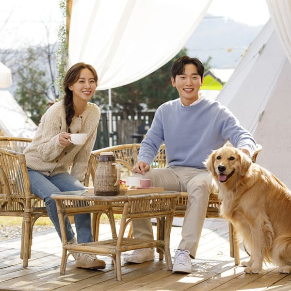 애견카페