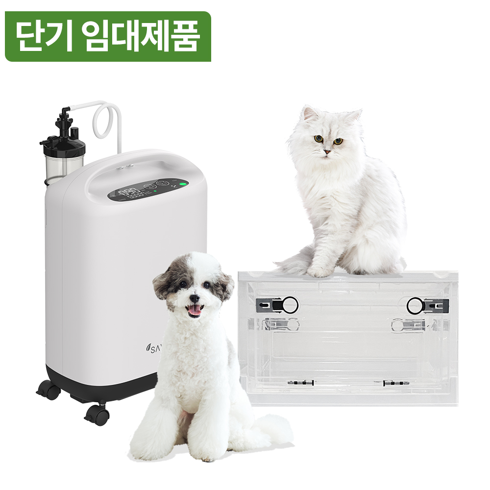 이미지명