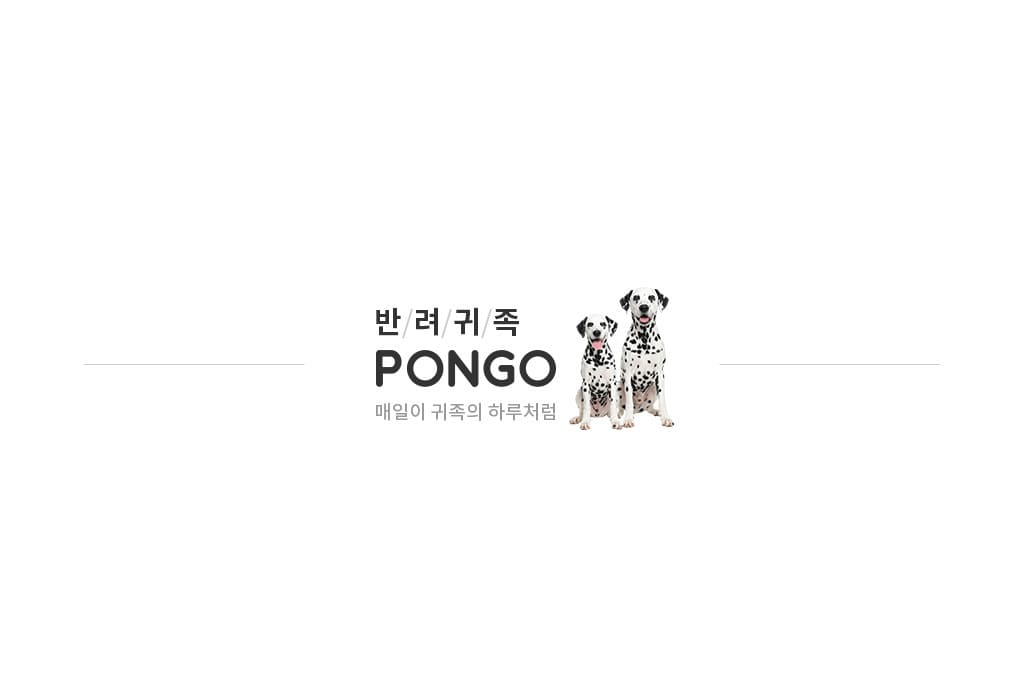 제품설명00