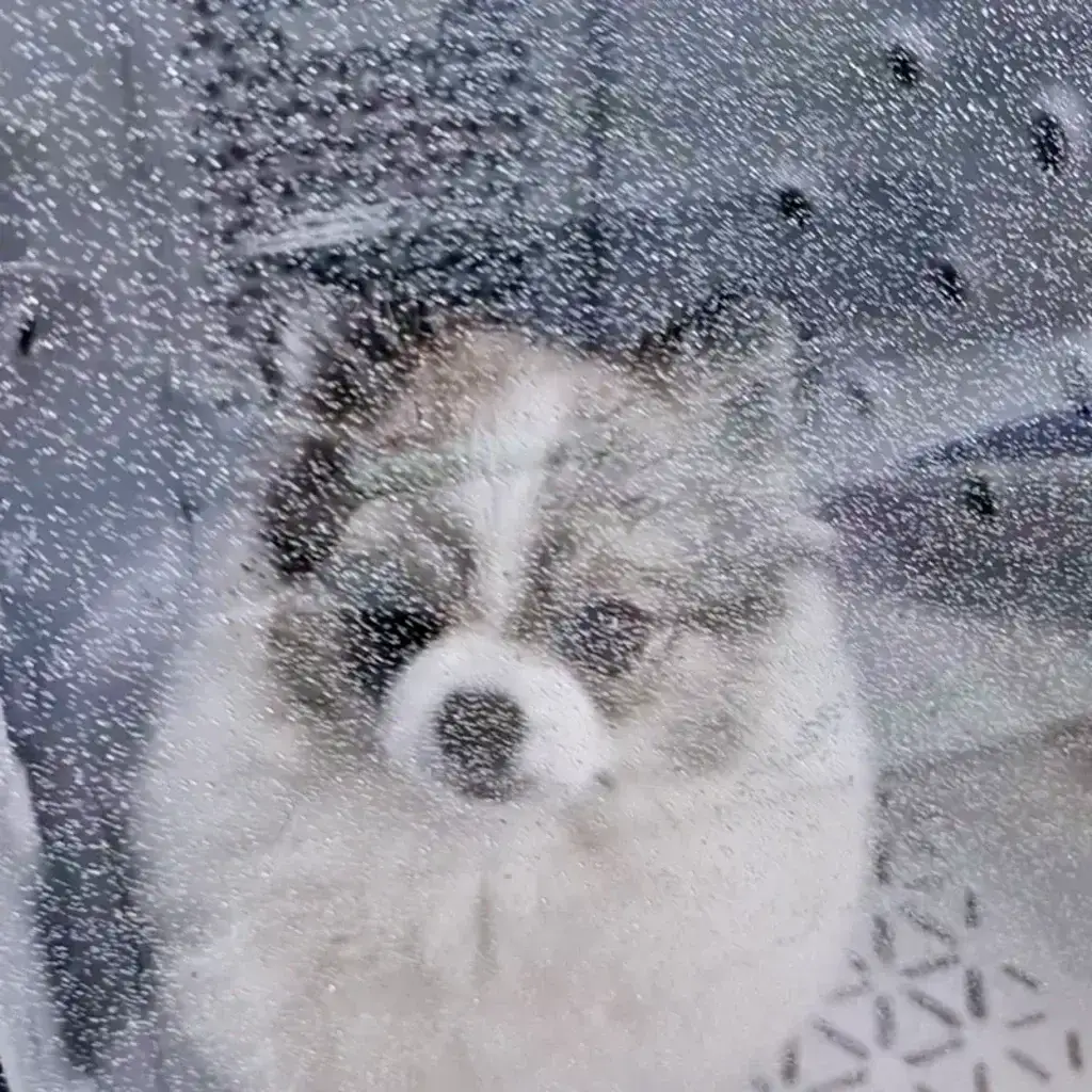 제품설명00