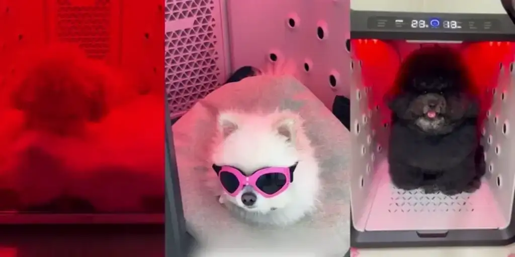 제품설명00