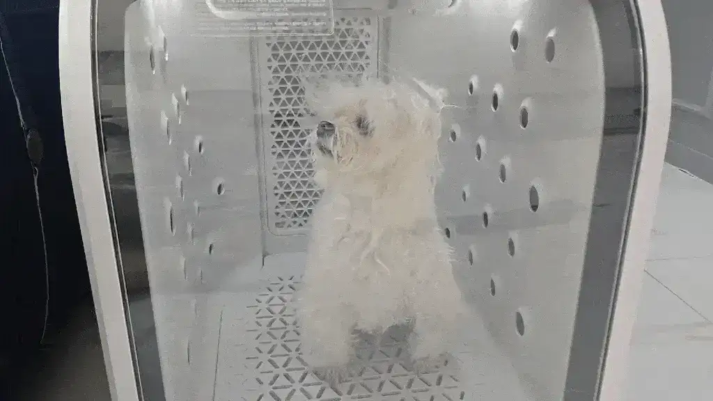 제품설명00