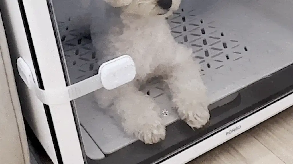 제품설명00