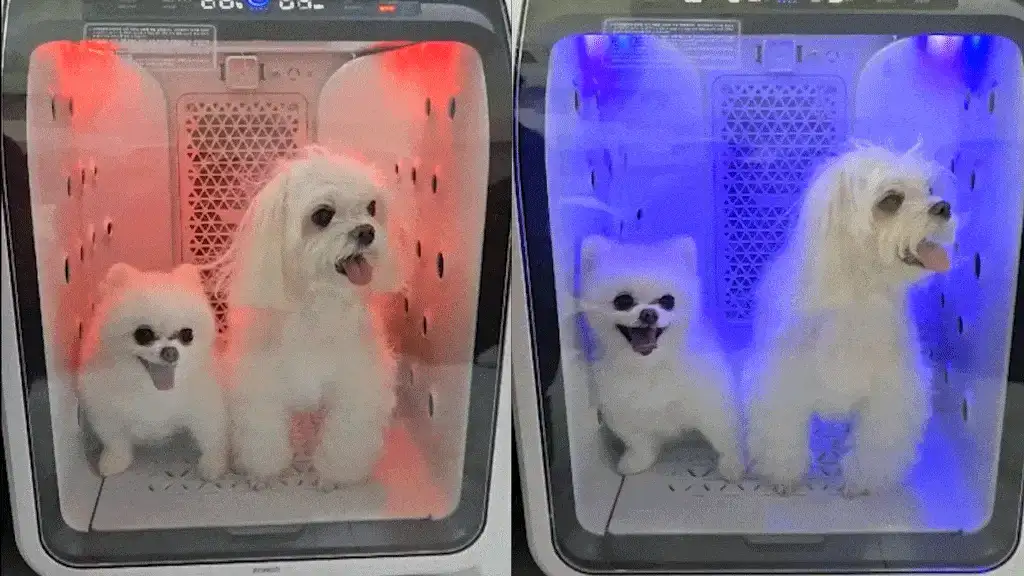 제품설명00