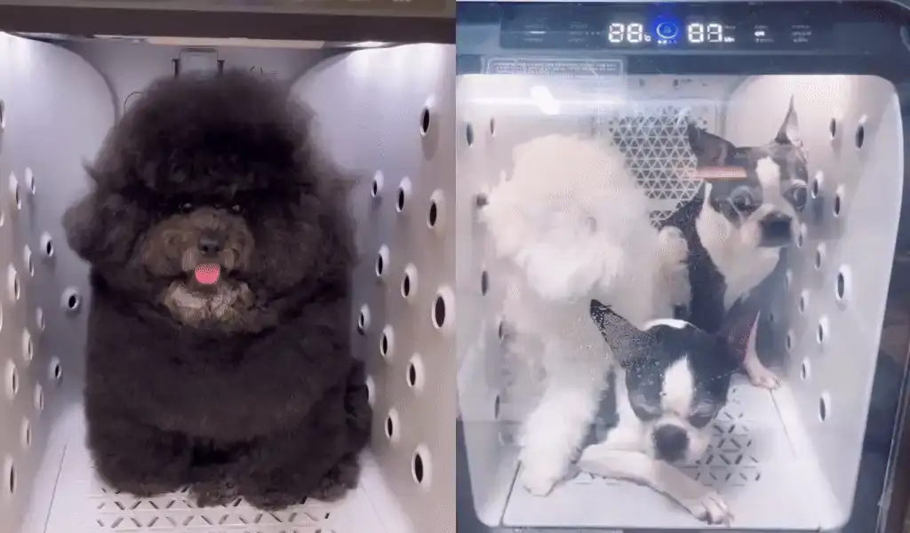 제품설명00