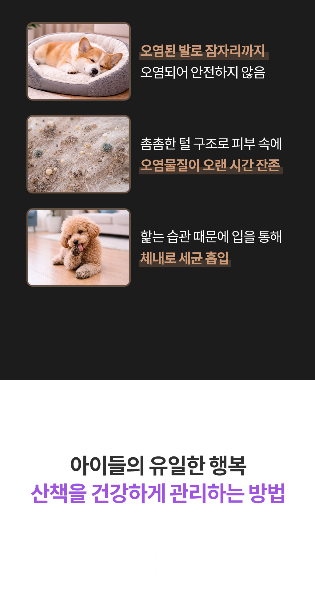 제품설명00