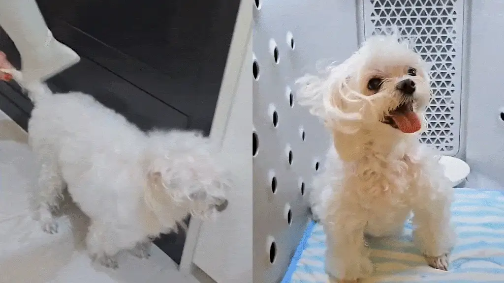 제품설명00