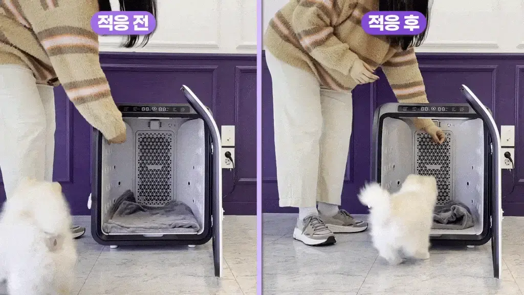 제품설명00