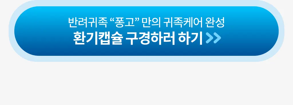 제품설명00